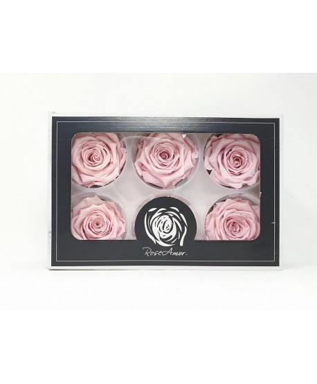 Caja  6 rosas preservadas cabeza d. 5,5-6cm Alt. 4,5-5,2cm rosa pálido Roseamor