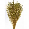 Lino grass seco 100gr 50cm verde pistacho