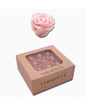 Caja 16 rosas preservadas cabeza d 2 1-2 5cm Alt 2 1-2 5cm rosa