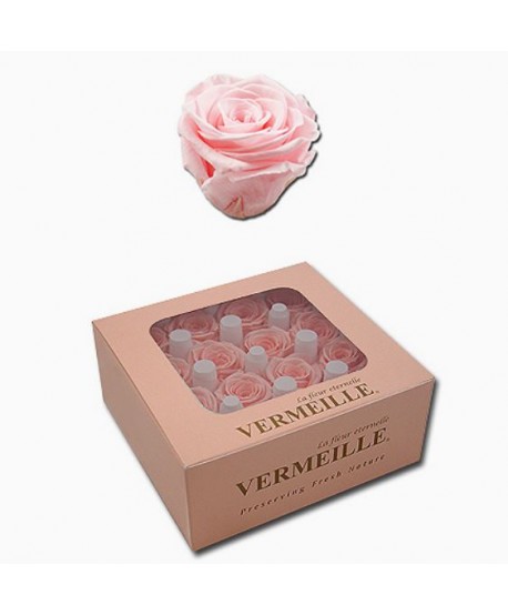 Caja 16 rosas preservadas cabeza d.2,1-2,5cm Alt.2,1-2,5cm rosa suave