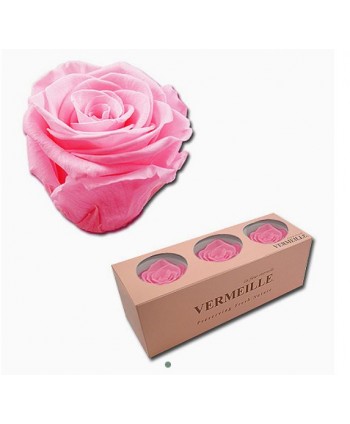 Caja  3 rosas preservadas cabeza d 5 5-6 5cm Alt 4 8-5 2cm rosa intenso