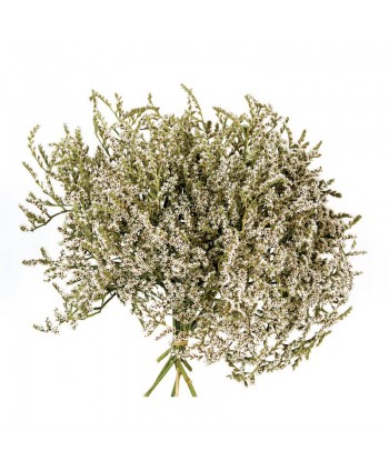 St tatarica seca  granel 1 kg natural