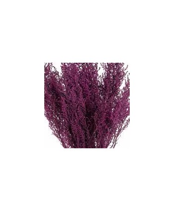 Stoebe preservado byzance 30/50 150 gr