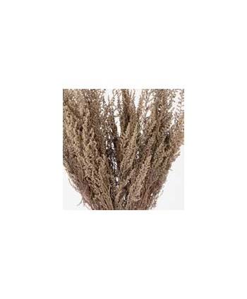 Stoebe preservado silver white 30/50 150 gr