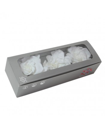 Caja  3 gardenia preservada cabeza d 6- 9cm blanca