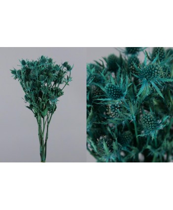Eryngium preservado 40cm azul verdoso
