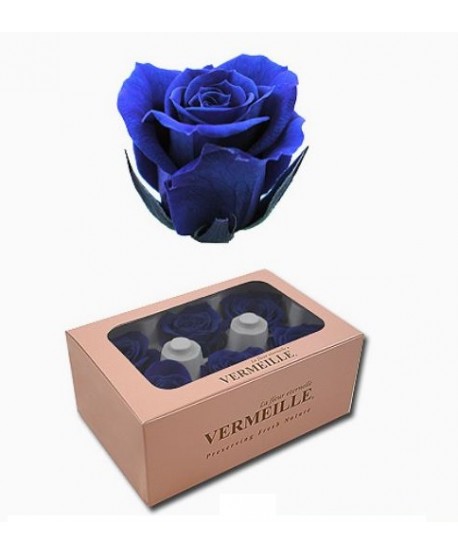 Caja  6 rosas preservadas cabeza d. 3,6-4,5cm azul