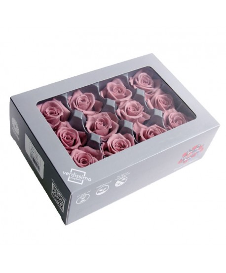 Caja 12 rosas preservadas cabeza d. 3,5cm cereza vintage