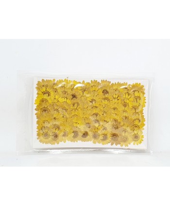 Flor prensada margaritas d 2 8cm amarillas