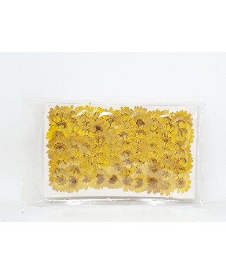 Flor prensada margaritas d.2,8cm amarillas