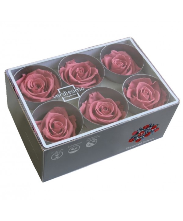Caja 6 rosas preservadas cabeza  cherry blosson