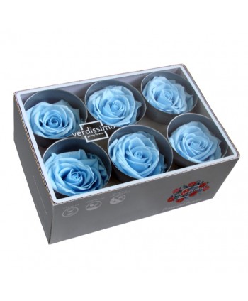 Caja  6 rosas preservadas cabeza d 5cm  azul cielo