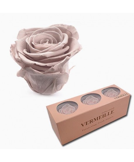 Caja  3 rosas preservadas cabeza d.5,5-6,5cm Alt.4,8-5,2cm maquillaje