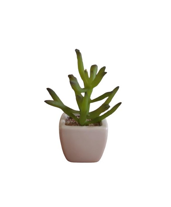 Maceta m 5x5cm mini cactus tiesto cuadrado cerámica blanca