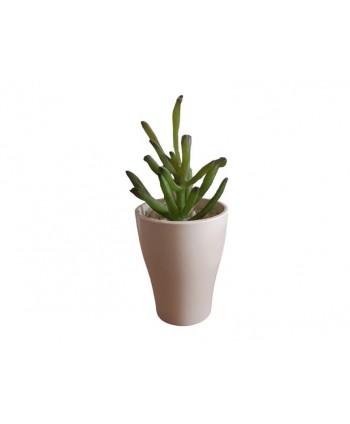 Maceta m d 7cm Alt 9cm mini planta crasa tiesto cerámica blanca