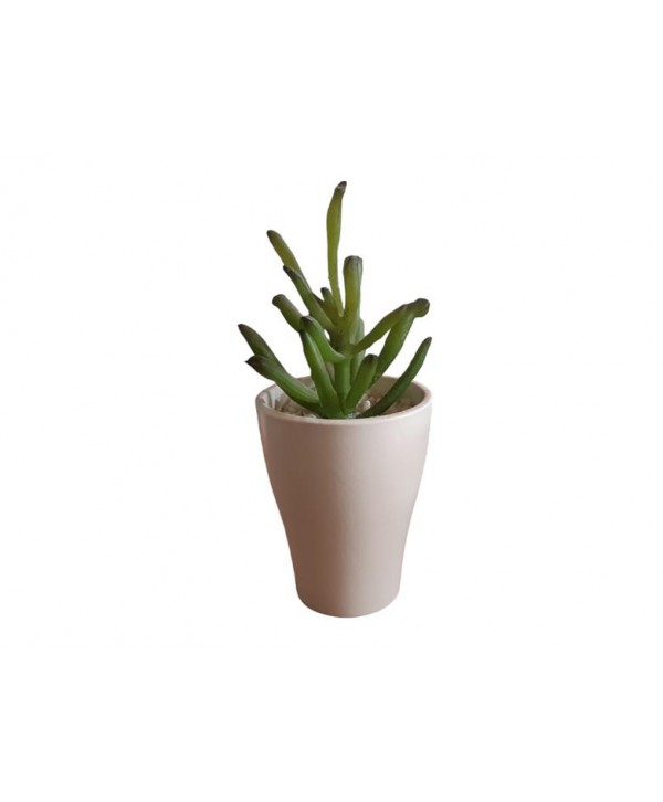 Maceta m d 7cm Alt 9cm mini planta crasa tiesto cerámica blanca