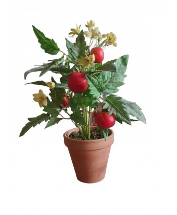 Maceta m11cm Alt 10cm tomate en flor