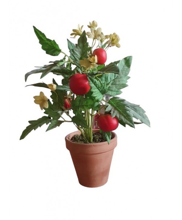 Maceta m11cm Alt 10cm tomate en flor