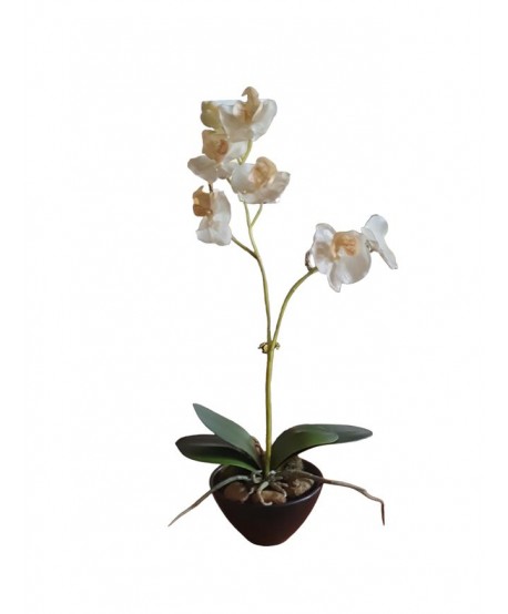 Maceta artificial orquídea d.12cm phalaenopsis látex blanca h.35cm tiesto negro