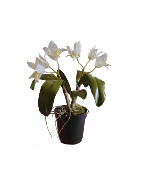 Maceta artificial orquídea d.12cm calathea x 2 vara x 2 flores 45cm blanca