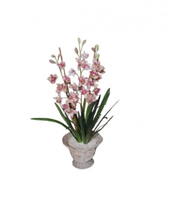 Maceta orquídea d 34cm Alt 105cm 