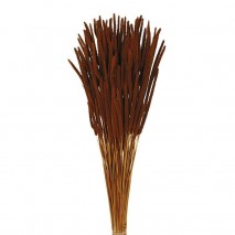 Phleum seco 100gr 60cm marrón