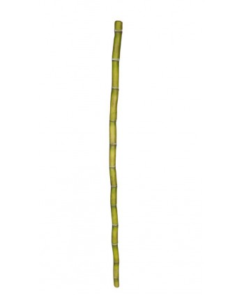 Caña bambú 120cm latex verde