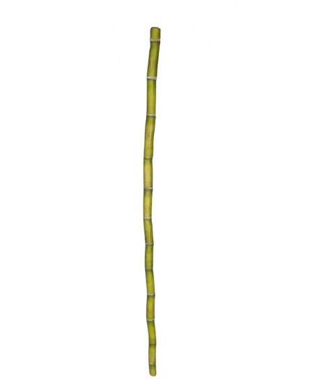 Caña bambú 120cm latex verde