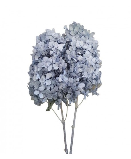 Vara Hortensia preservada c/tallo cónica azul japoni