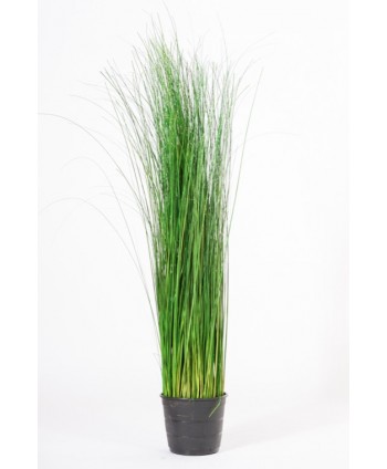 Planta preservada 120cm m 20cm steel grass