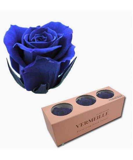 Caja  3 rosas preservadas cabeza d.5,5-6,5cm Alt.4,8-5,2cm azul
