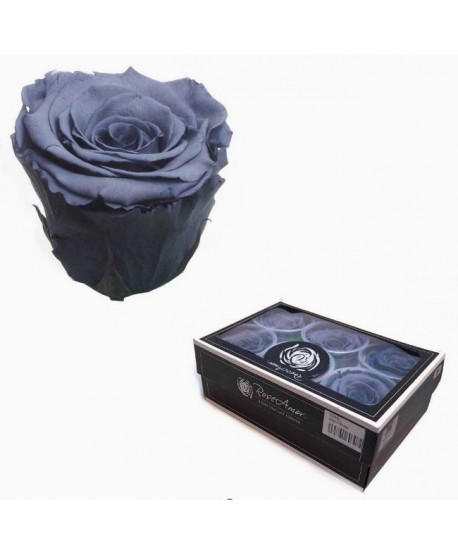 Caja  6 rosas preservadas cabeza d. 5,5-6cm Alt. 4,5-5,2cm azul