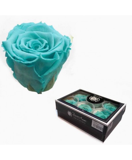 Caja  6 rosas preservadas cabeza d. 5,5-6cm Alt. 4,5-5,2cm verde agua