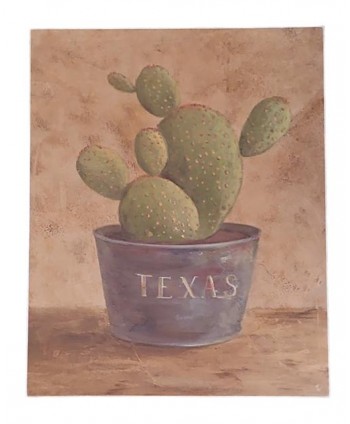 Cuadro lamina 20x25cm cactus Texas