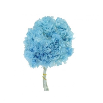 Pomo Hortensia preservada c/tallo azul cielo lavado