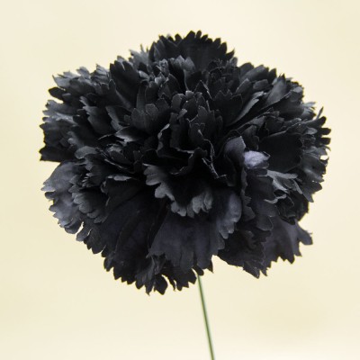 Flor de flamenca clavel negro