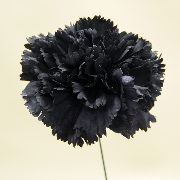 Flor de flamenca clavel d.10cm negro
