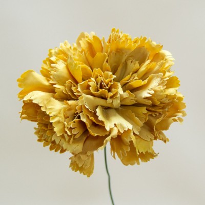 Flor de flamenca clavel dorado