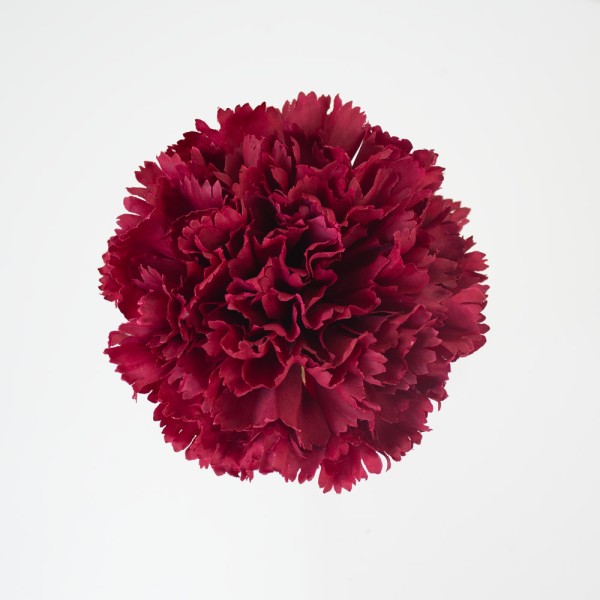 Flor de flamenca clavel d.10cm granate