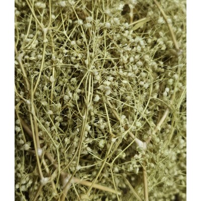 Gypsophila mini preservada tallo corto 30g verde pistacho -