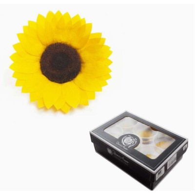 Caja 6 girasoles preservados cabeza d 7cm Alt 3 5cm
