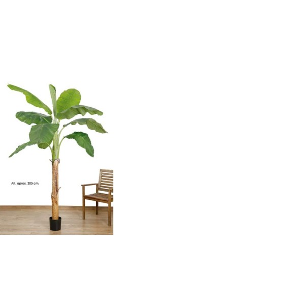 Planta artificial   bananera x10 h Alt.205cm