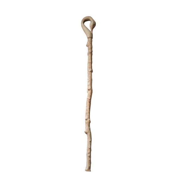 Alquiler bastón madera natural cabeza cisne cortejo pajes Alt.125cm 
