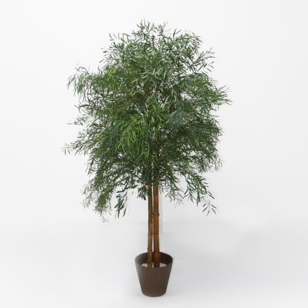 Árbol preservado Alt.150cm c/tronco natural eucalipto nicoly verde