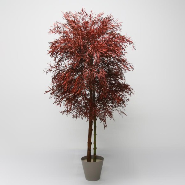 Árbol preservado Alt.150cm c/tronco natural eucalipto nicoly burdeos