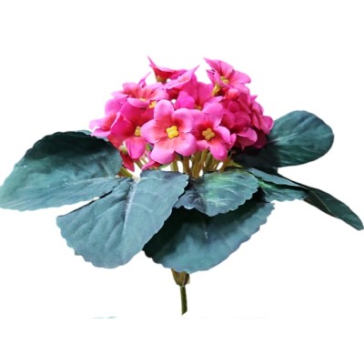 Mata violeta africana Alt 14cm x35 flores fucsia