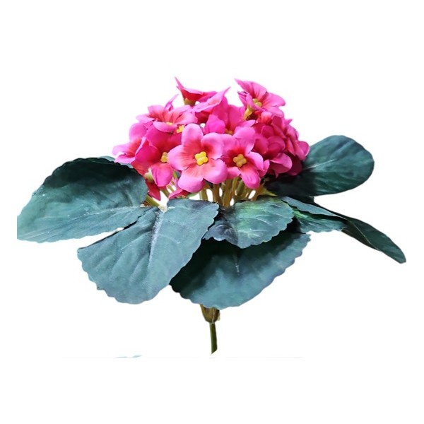 Mata violeta africana Alt.14cm x35 flores fucsia