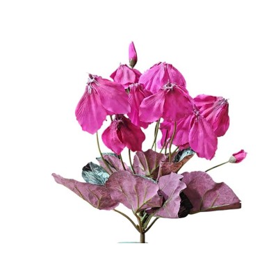 Mata ciclamen Alt 30cm fucsia