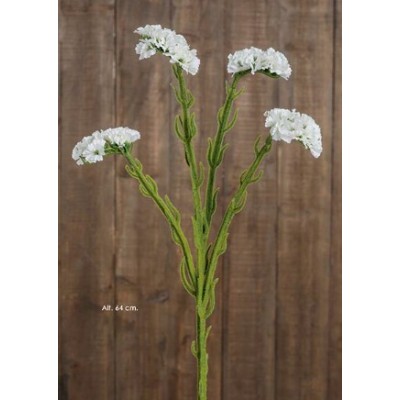 Statice 64cm 4fl blanco