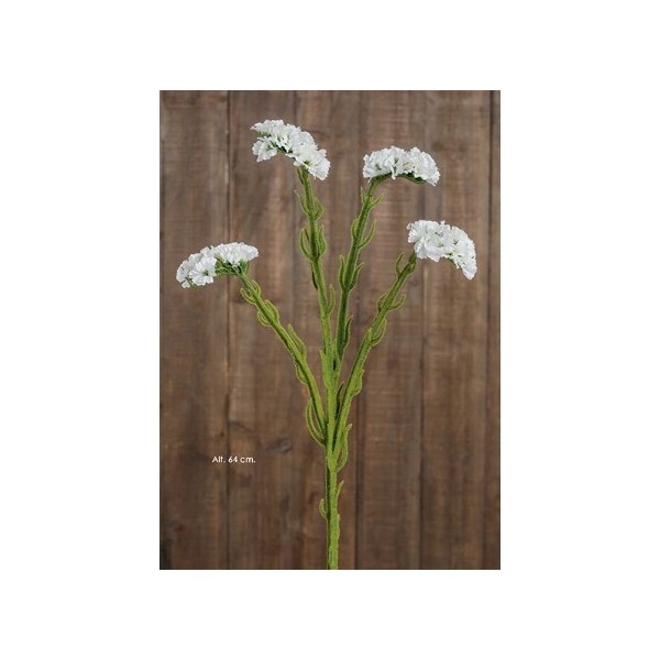 Statice 64cm 4fl blanco